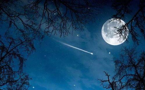 月亮吃瓜娱乐说,揭秘娱乐圈幕后故事