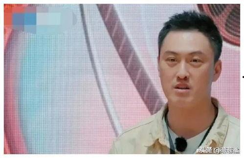 娱乐圈吃瓜爆料窦骁,娱乐圈新恋情引发热议